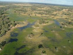 Album photos du tour du monde de KapSud en 4x4 : le Botswana
